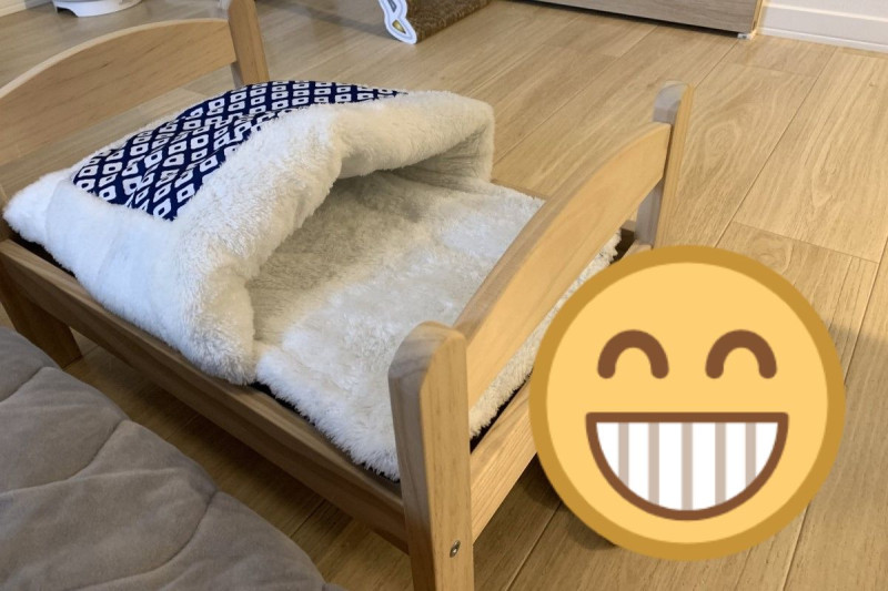 日本一名飼主買了一張可愛又舒服的床給貓咪。   圖／twitter@h_mugikinu