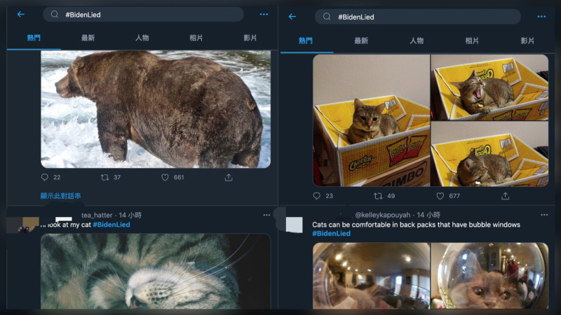 搜尋＃BidenLied會出現許多網友放上狗狗貓貓的照片。   圖：翻攝自推特