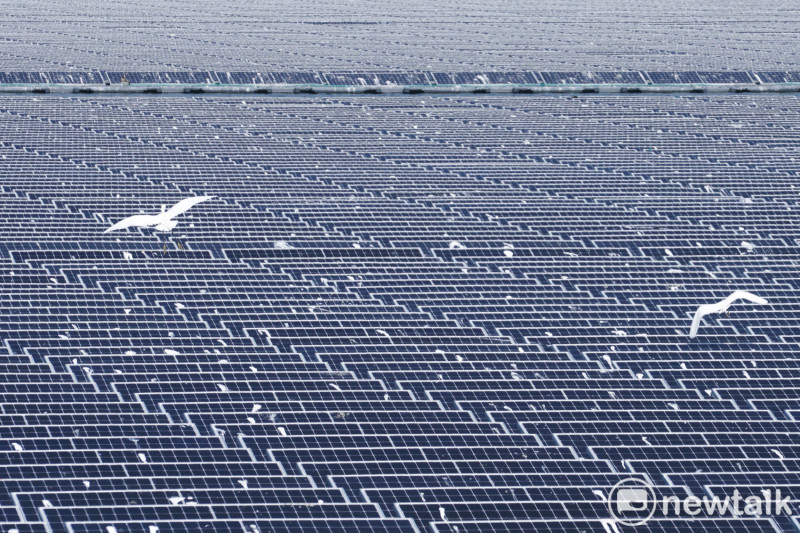 兩隻白鷺鷥飛越大片的浮台型光電板，畫面看來非常的奇幻且超現實。   圖：張良一/攝