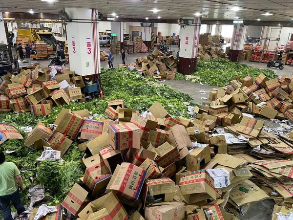 北農表示，本次丟棄數十噸蔬菜，是因農藥過量、品質不好才處理掉，並非菜價崩盤。   圖：翻攝自爆廢1公社