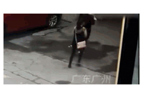 中國廣州市一名女子走在路上，卻被一隻「天降狗狗」砸中重傷。   圖：翻攝自網路