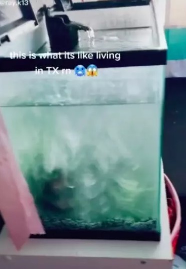 美國民眾家裡魚缸結凍成「冰磚」，裡頭的金魚不幸死亡。   圖：翻攝TikTok
