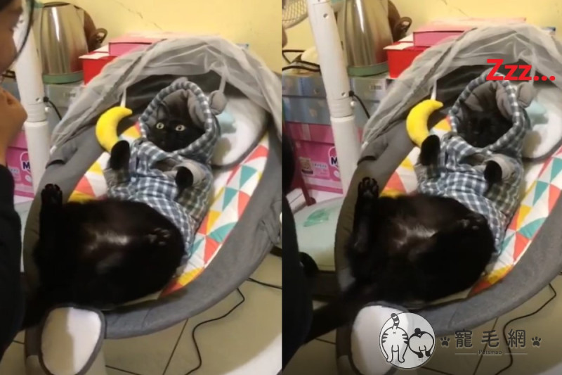 嬰兒搖椅上出現「黑臉寶寶」。   圖／網友萍萍授權提供