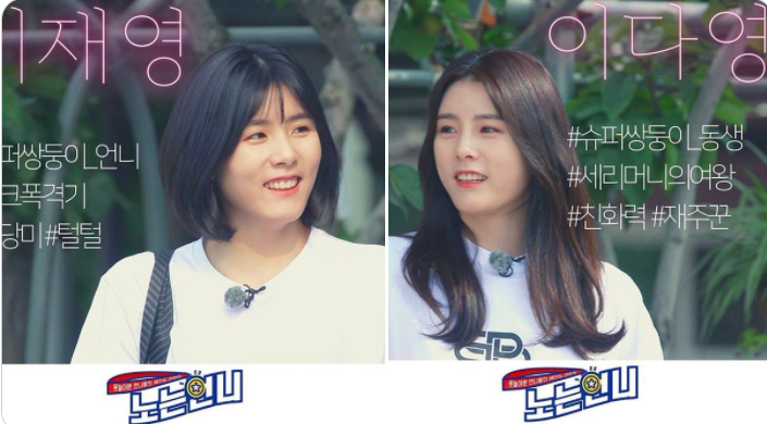 韓國「排球女神」雙胞胎李在英（左）、李多英（右）承認霸凌事件。   圖：翻攝自推特
