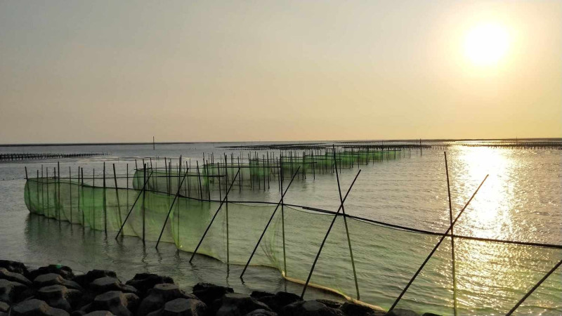 鰻苗捕撈漁期將於2月28日結束，圖為嘉義縣沿海捕撈鰻苗的漁具。   圖：嘉義縣政府/提供