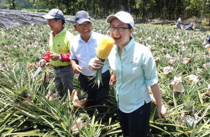 中國突然宣布禁止進口台灣鳳梨，駐美代表蕭美琴臉書發「鳳梨圖」挺農民。   圖 : 翻攝自蕭美琴臉書