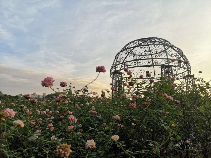 玫瑰園光之穹頂。   圖：取自台北旅遊網