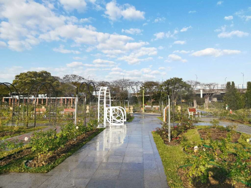臺北玫瑰園景觀區一偶。   圖：取自台北旅遊網