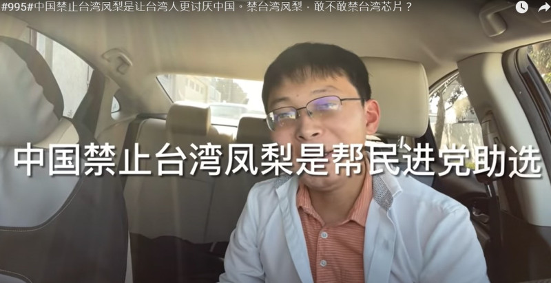 「江蘇小哥」認為，中國禁止台灣鳳梨進口的行為根本是免費幫台灣鳳梨打廣告。   圖：翻攝 Vlog心聲Youtube
