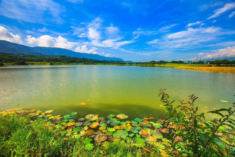 大坡池濕地為台東受歡迎的旅遊景點。   圖：台東縣政府／提供