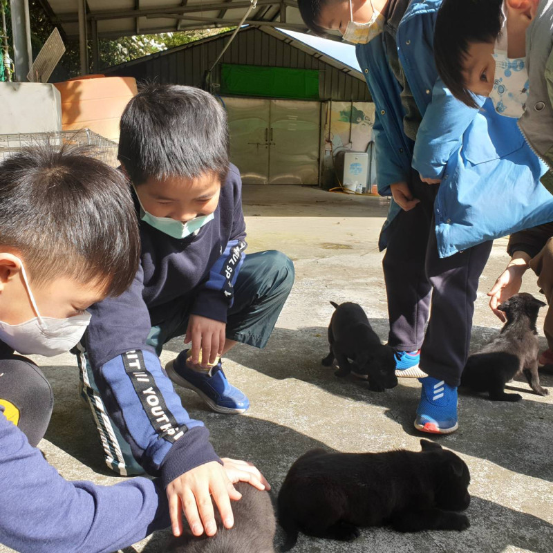 雲海國小小朋友與犬隻互動。   圖：新北市動保處提供