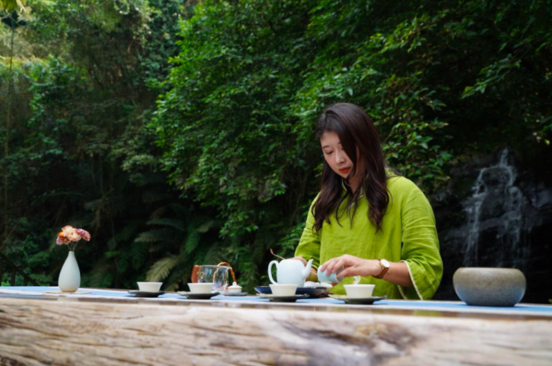 阿里山茶旅活動是藉由在地茶旅達人、茶旅體驗環境氛圍，來推廣阿里山好茶及多元品茗方式。   圖：阿里山國家風景管理處／提供