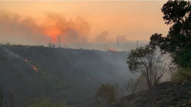 台中大肚山火燒山。   圖:台中市消防局提供