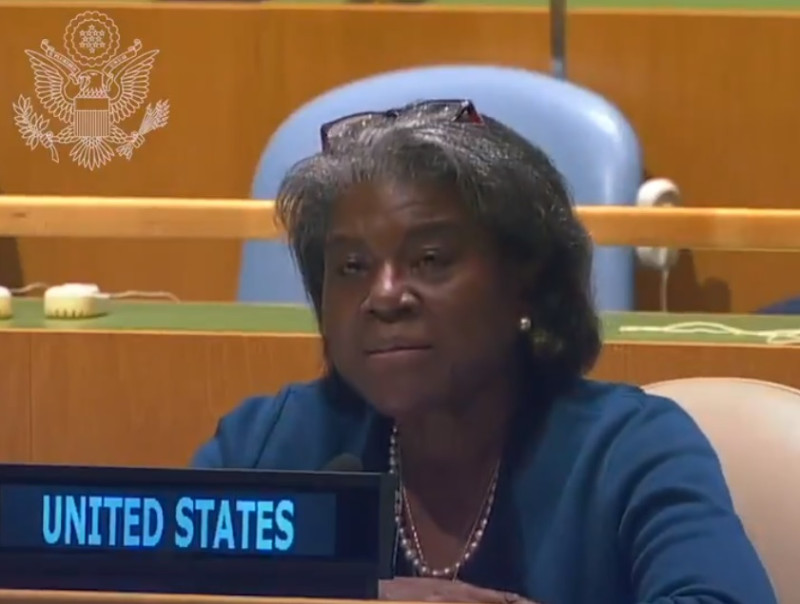 美國駐聯合國大使湯瑪斯-葛林斐德（圖）出席聯合國會議時，為種族歧視議題和中國駐聯合國副代表戴兵交鋒。   圖：翻攝自Ambassador Linda Thomas-Greenfield推特影片