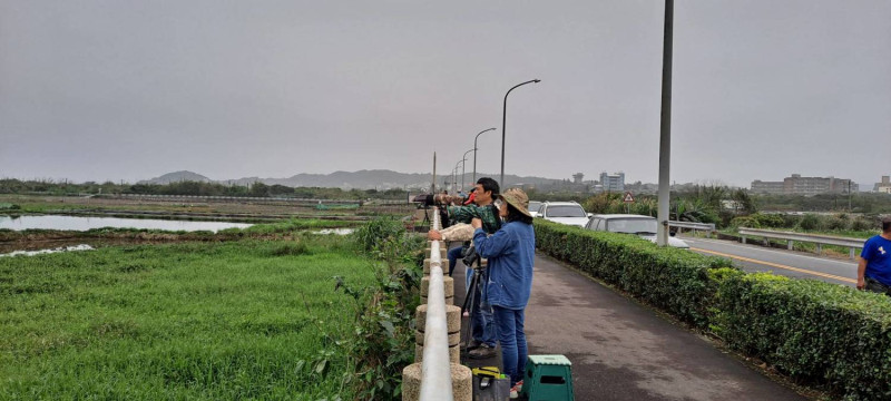 東方白鸛拍攝人潮已有減少。   圖：新北市動保處提供