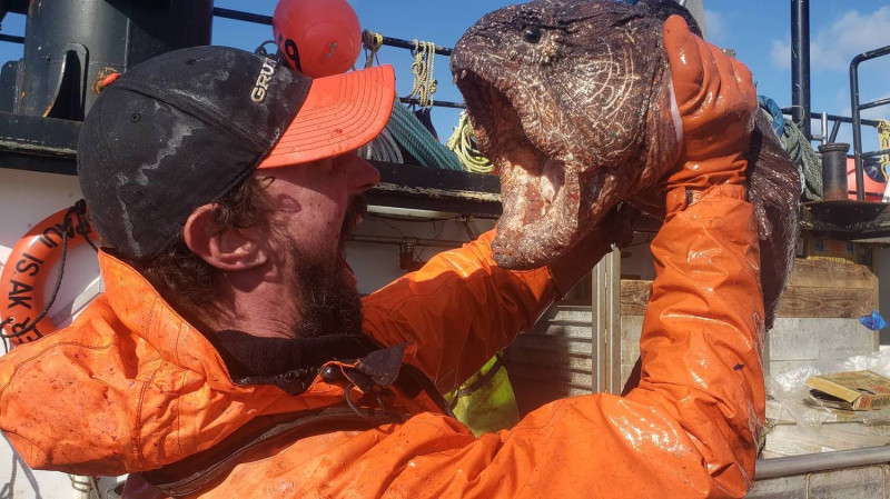 一位39歲漁民伊札克（Nate Iszac）9日於阿拉斯加安庫坦島（Akutan Island）沿岸，意外捕獲一條有著巨嘴、利牙的大魚。   圖：翻攝自LADbible