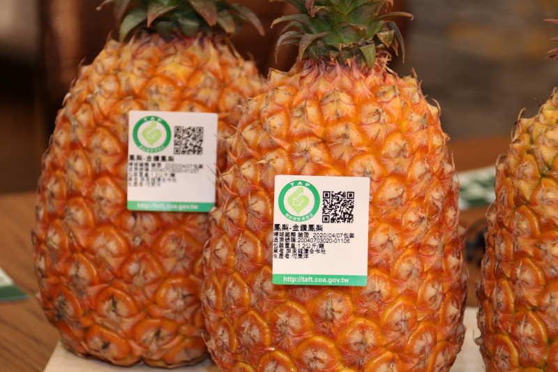 日前有新加坡台商投書媒體，表示台灣外銷新加坡的鳳梨品質不佳。   圖：農糧署／提供