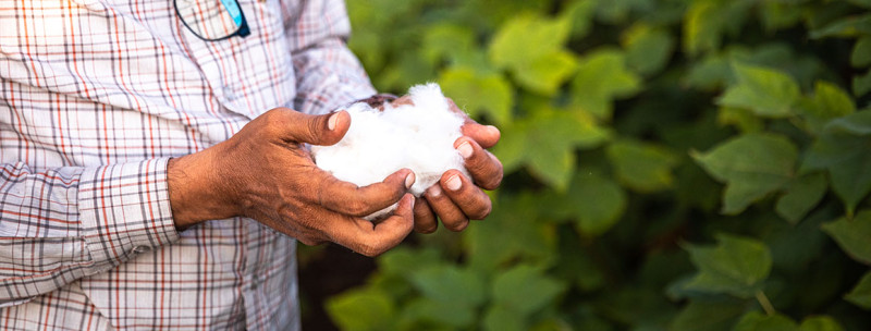 「更好的棉花計劃」（BCI）是一個全球性的非營利組織，也是世界上最大的棉花可持續發展計劃。   圖：翻攝自BCI官網