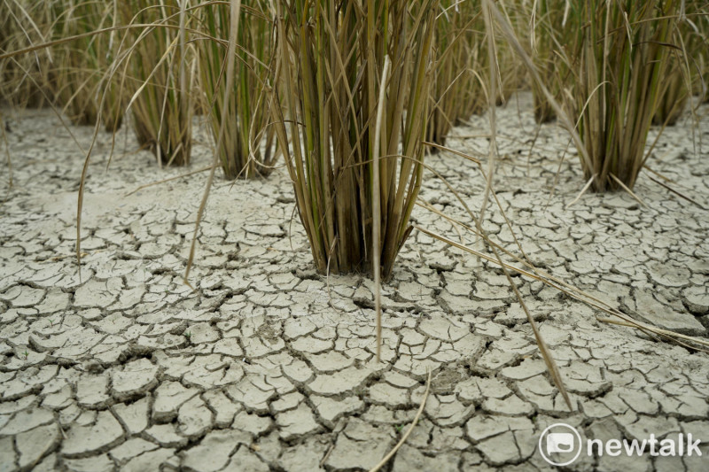 農委會主委陳吉仲表示，乾旱會造成農作減產，將藉由智慧灌溉調度河川水，確保農地用水(資料照)。   圖：張良一/攝