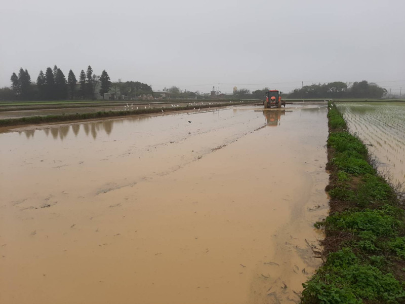桃3灌區自2月21日起開始整地供水，目前已有９成農田完成插秧。   圖：北區水資源局／提供