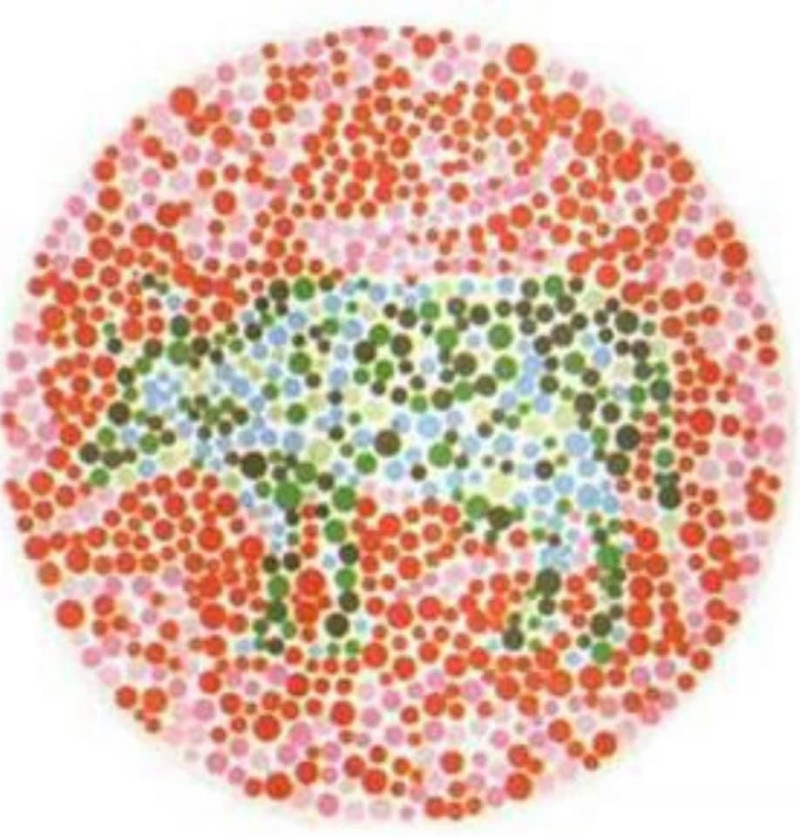 氣象達人彭啟明在臉書上公布一張圖，並要粉絲回答：「這張圖看到鹿還是牛？」他表示，看到鹿的人，就是有色弱。   圖：翻攝自氣象達人彭啟明 臉書專頁