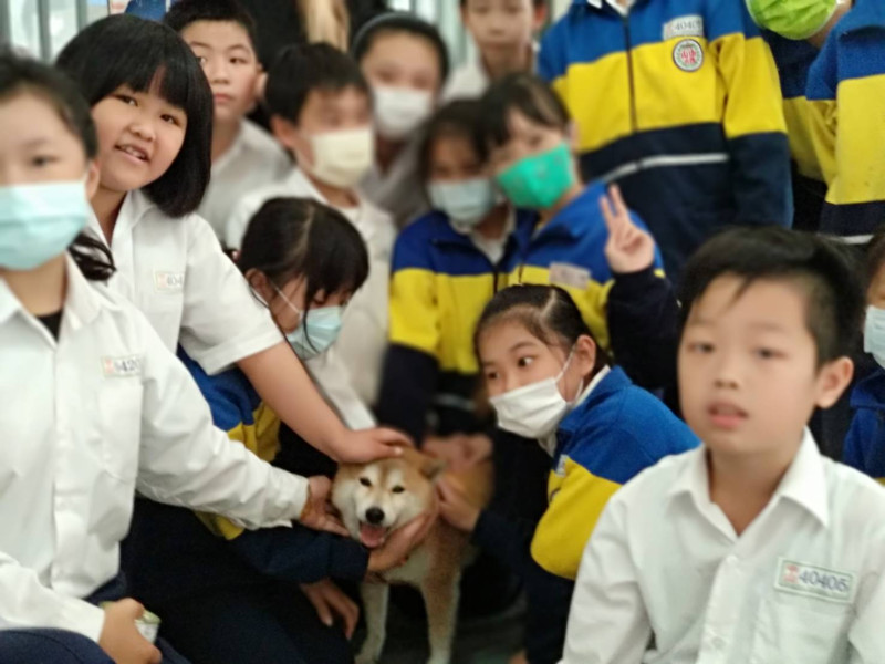 中山國小學童們與「新嫁」到校的校犬開心互動。   圖：新北市動保處提供