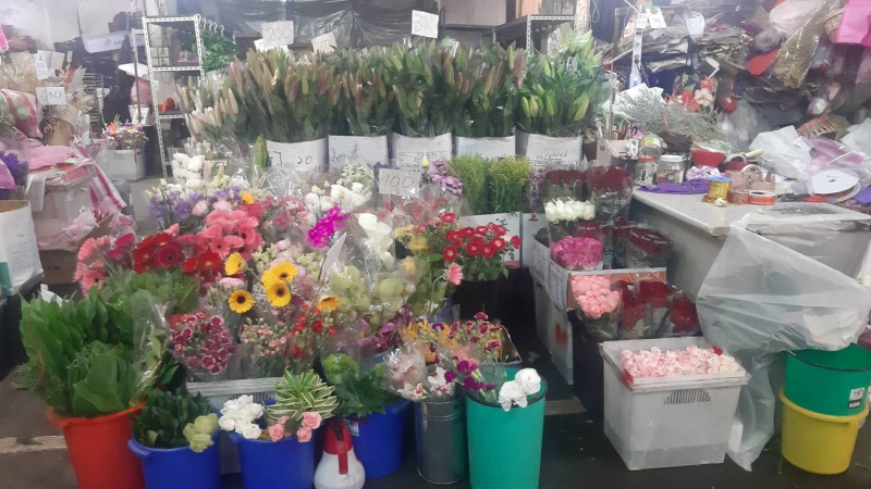 板橋花市攤商銷售各式花卉。   圖：新北市農業局提供
