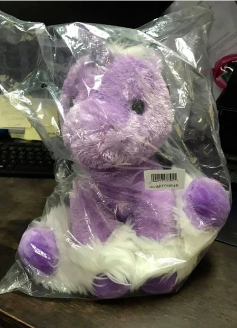 民眾寄給西蘇的紫色獨角獸龍。   圖：翻攝自Duplin County Animal Services臉書