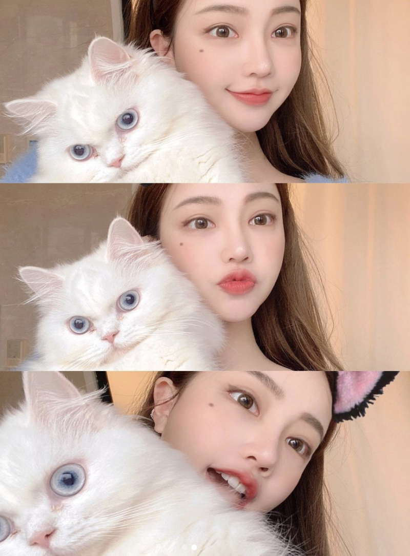 黃琳與愛貓入鏡。   圖：翻攝IG／黃琳