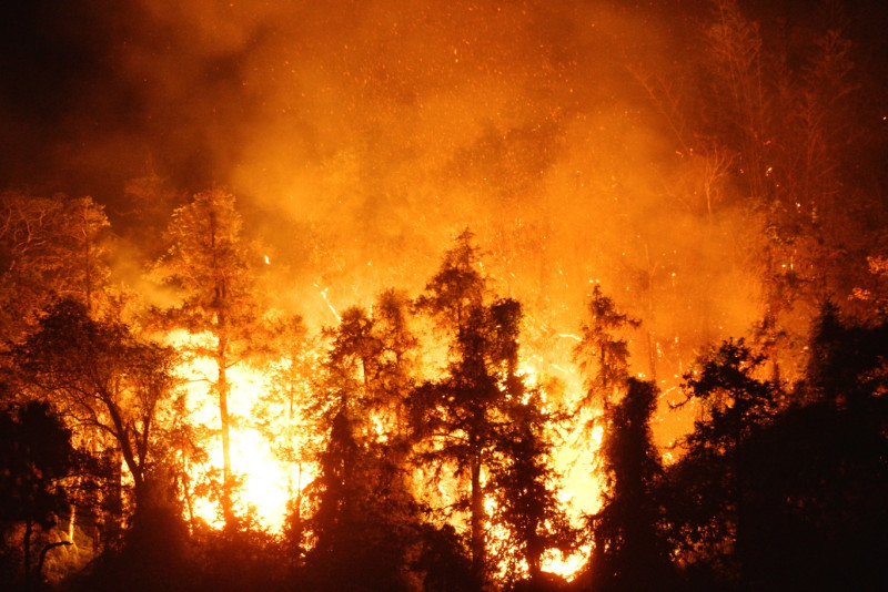 魚池鄉火燒山，火場下方的魚池國中岌岌可危。   圖：張良一/攝