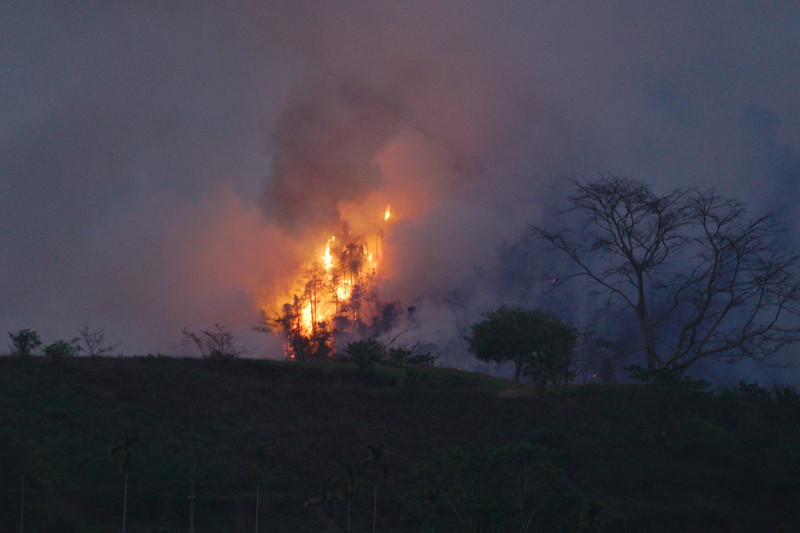 南投縣魚池鄉下午發生火燒山事件，至晚間八時許，火勢仍未撲滅。   圖：張良一/攝