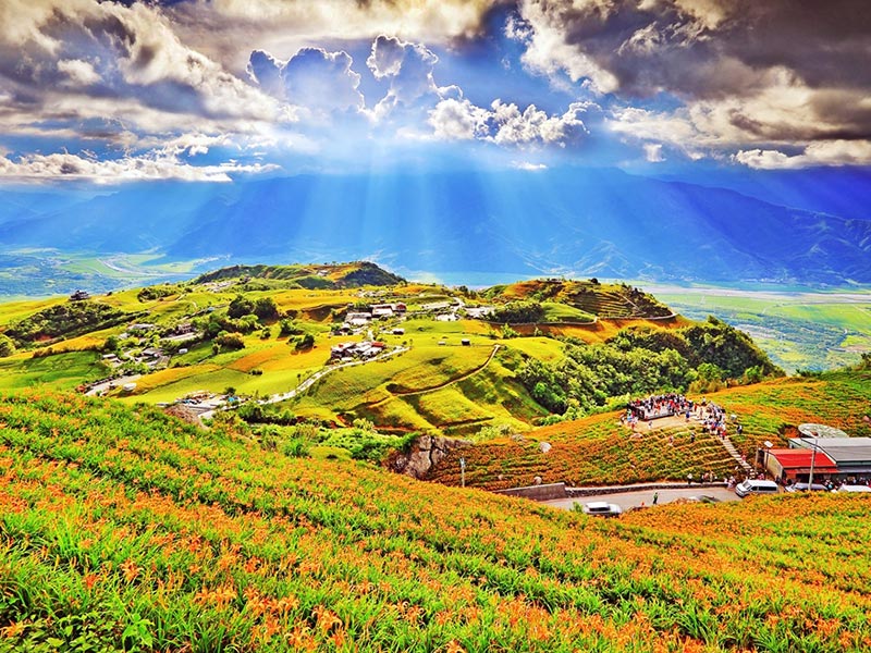 花蓮六十石山。   圖：取自花東縱谷國家風景區網站