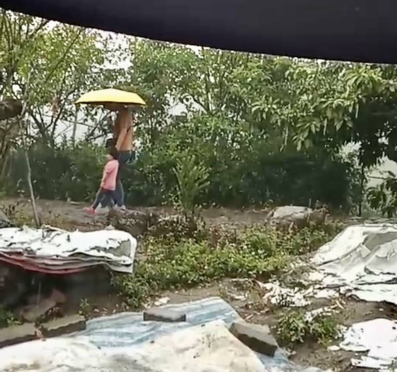 台南曾文水庫集水區、南化、楠西、左鎮下起大雨，民眾難得撐傘，反而覺得開心。   圖：拍鳥俱樂部鳥友提供