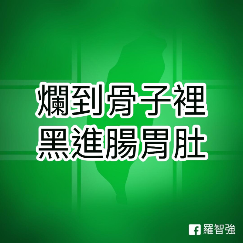 羅智強在臉書發文，痛批民進黨任幫派登堂入室。   圖：翻攝自羅智強臉書