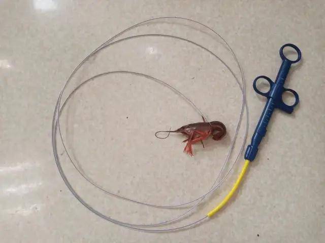 醫師用大腸鏡在距離少年直腸內發現小龍蝦的螯，用細鐵絲將小龍蝦套住，再緩緩將其拖出。   圖：翻攝瀟湘晨報