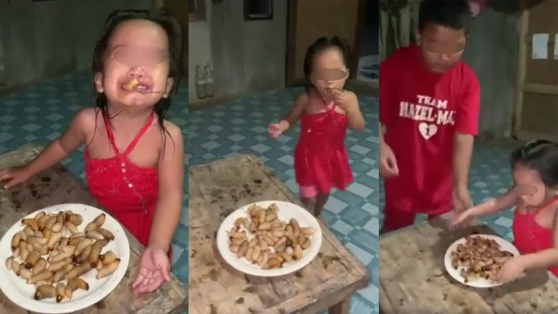 近日菲律賓一名母親將女兒嗑肥蟲的過程拍下來放到社群平台，畫面可見一整盤蠕動的肥蟲被小女孩抓來吃，引來網友質疑母親是否虐待女童。   圖：翻攝自Jenny Brital Riley臉書