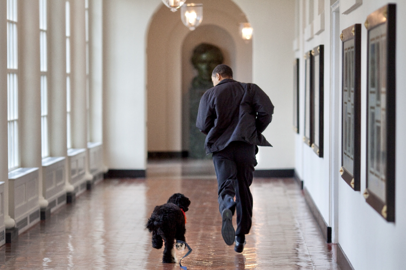 美國前總統歐巴馬一家的愛犬「波（Bo）」上週去世，歐巴馬與夫人蜜雪兒發文悼念。   圖／Twitter@ BarackObama