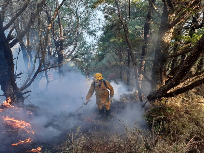 玉山森林火警已延燒5天，救災人員全力搶救。   圖：嘉義林管處/提供