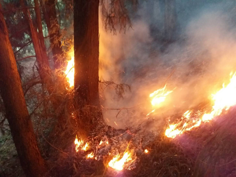 馬崙山大火持續延燒。   東勢林管處/提供