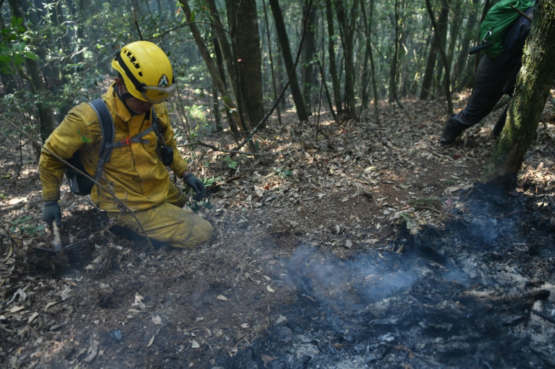 森林護管員頂著炎熱高溫及濃煙持續穿梭山林火場滅火。   東勢林管處/提供
