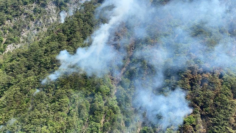 谷關七雄之一的馬崙山森林火災延燒面積持續擴大。   東勢林管處/提供