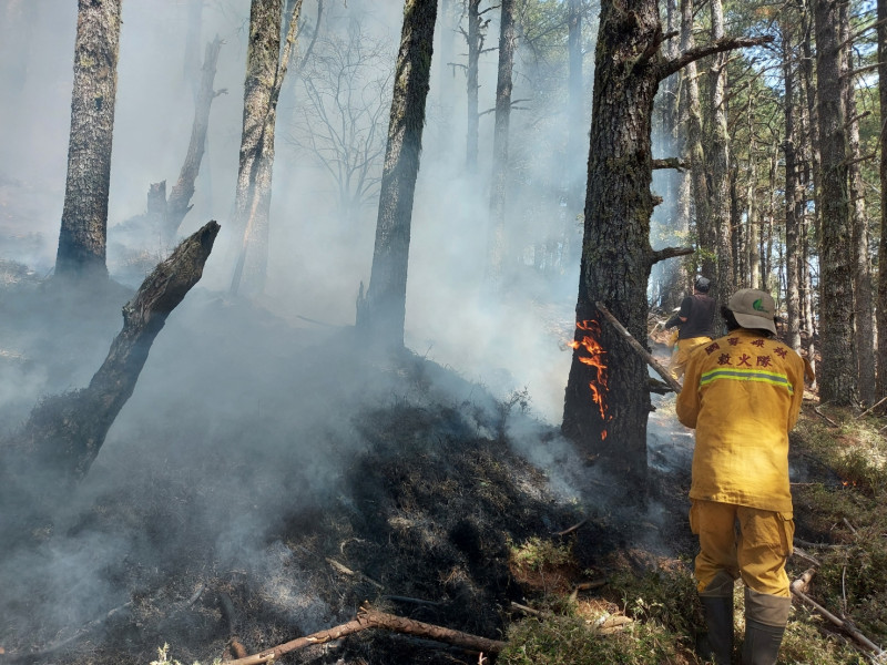 玉山森林大火終於撲滅，林務局表示將向5名肇事者求償。   圖：林務局／提供