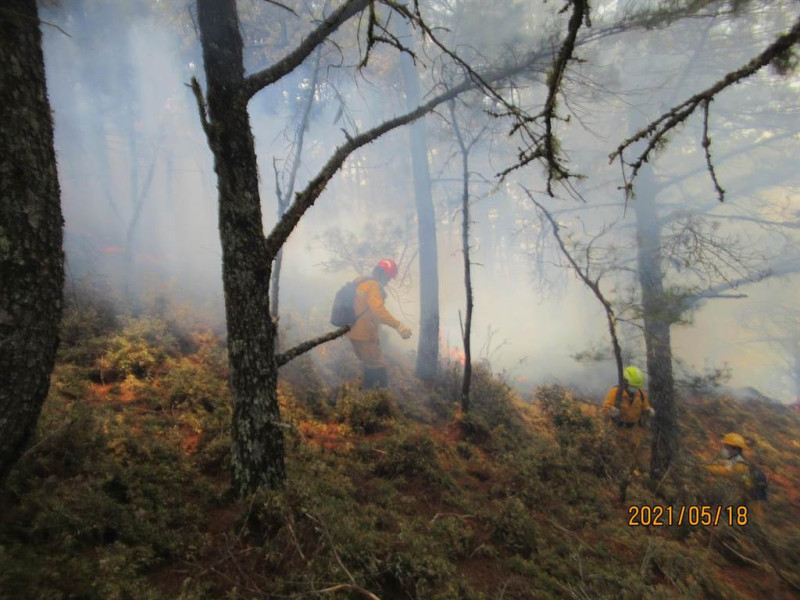 喬建中在玉山炊煮失火導致森林火災，森林護管員長達半個月都在高山上冒著40度以上高溫與野火搏鬥。   圖：林務局提供