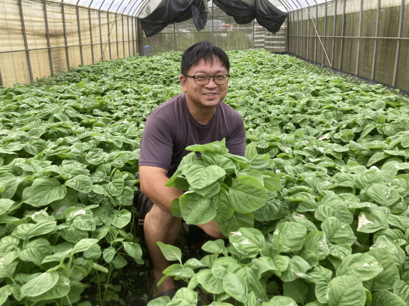 有機蔬菜供應農友-林口有機農場張文棟   圖：新北市農業局提供