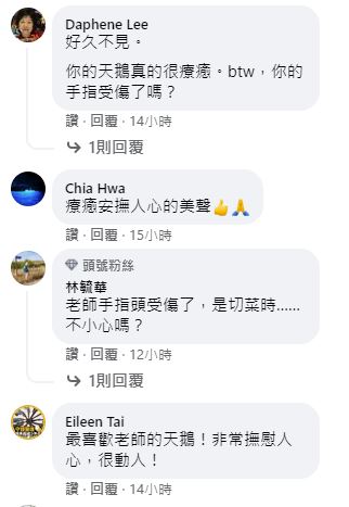 很多網友留言表示張正傑的演奏療癒人心。   圖：翻攝自大提琴家張正傑臉書