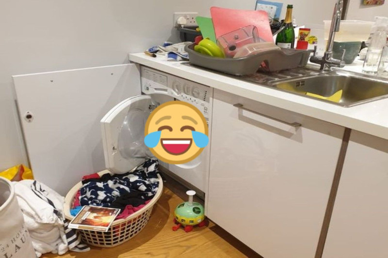 狐狸闖進家中，卻安穩的窩在洗衣機內，還一臉放鬆的模樣！   圖／twitter @NatashaTP