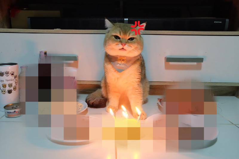 主人準備豐富生日大餐，貓皇見了卻一臉不開心！   圖／Facebook＠ Edward10516  เอ็ดเวิร์ด