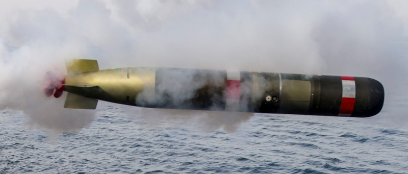 「錘頭鯊」智慧水雷武器模組使用的改良型「Mk54鯖鯊(MAKO)輕型魚雷」   圖：翻攝雷神官網
