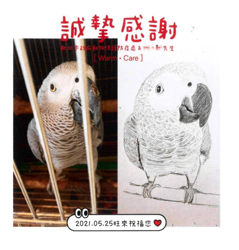 灰鸚鵡「旺來」的小姐姐特別製作手工卡片贈送店家與動保處人員，感謝對鳥寶悉心照料。   圖：新北市動保處提供