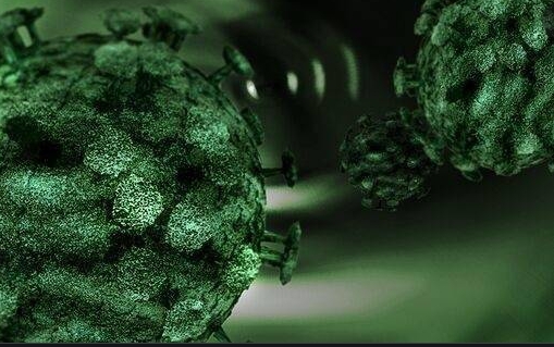 印度一名新冠患者確診感染了新型真菌疾病「綠真菌症」(green fungus)。這可能是該國報導的首例「綠真菌症」病例。   圖 : 翻攝自搜狐